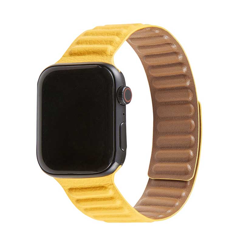 magnetic apple watch band