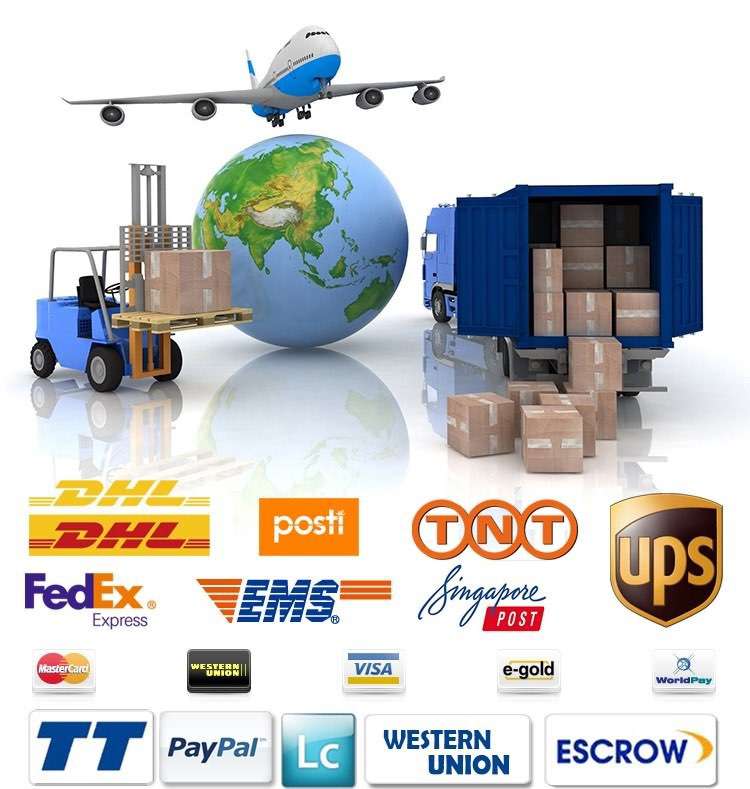 Shipment & Payment Shipment & Payment