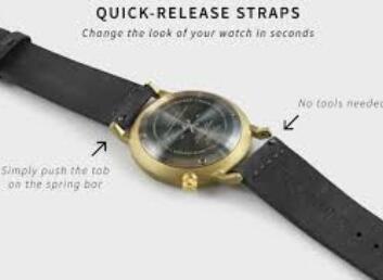 1525626328334565.jpg quick release spring bar 2.jpg