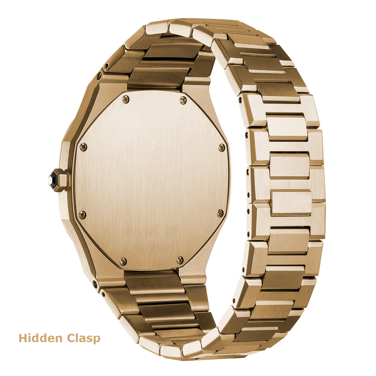 1553017450630005.jpg hidden clasp.jpg