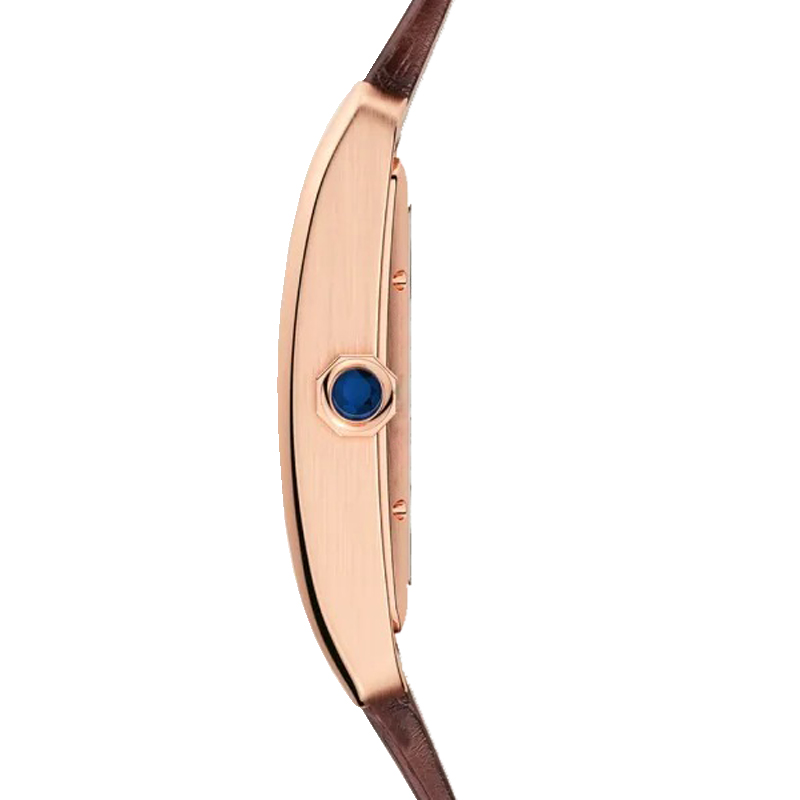 OEM Luxury Watch Quartz Watch OEM Luxury Watch Quartz Watch