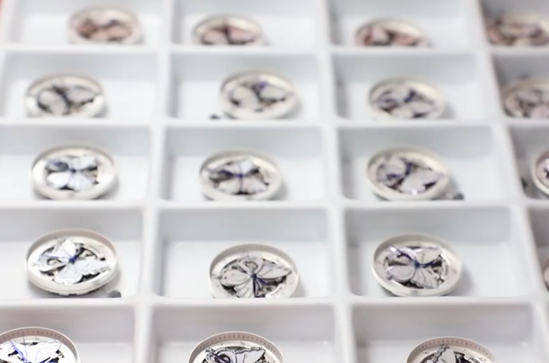 Top women's elegant butterfly pattern dial all stainless steel watch 2022.png Top women's elegant butterfly pattern dial all stainless steel watch 2022.png