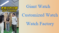 Giant-Watch-Team
