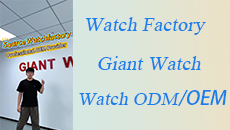 How-to-find-a-professional-watch-factory