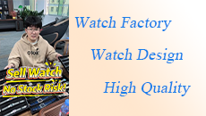 Bulid-your-own-watch-brand