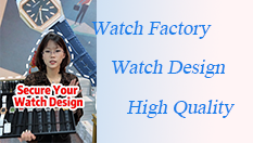 Secure-Your-Watch-Design